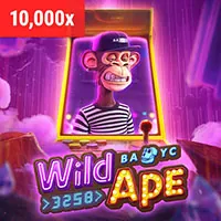 Hình ảnh minh họa kênh liên hệ với Cán bộ bảo vệ dữ liệu (DPO) của 3bet win