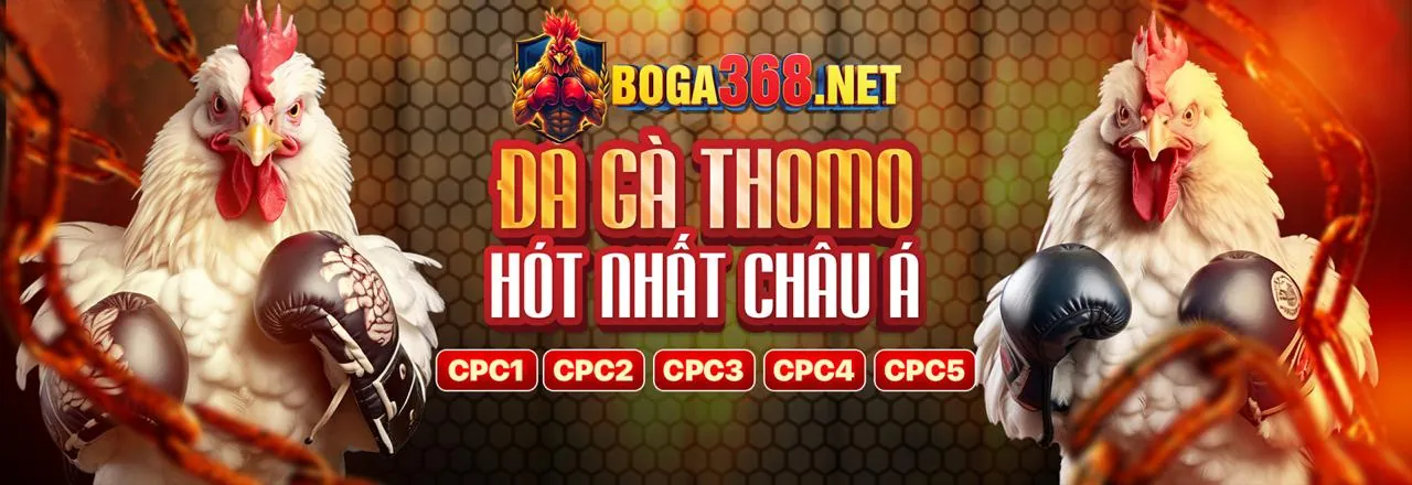 Hình ảnh hỗ trợ khách hàng 3bet win